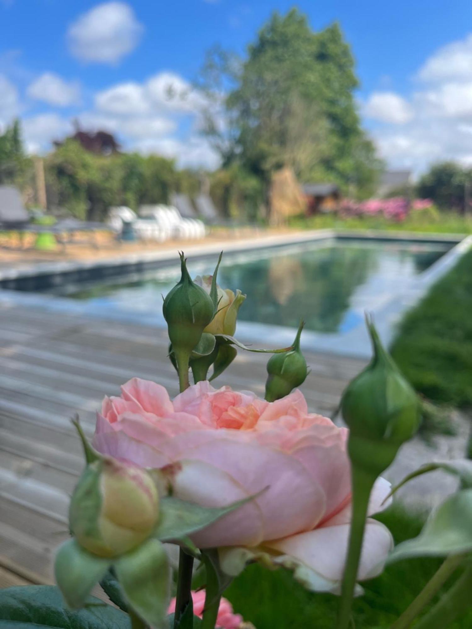Beaussais Sur Mer La_Grande_Guerais Bed & Breakfast エクステリア 写真