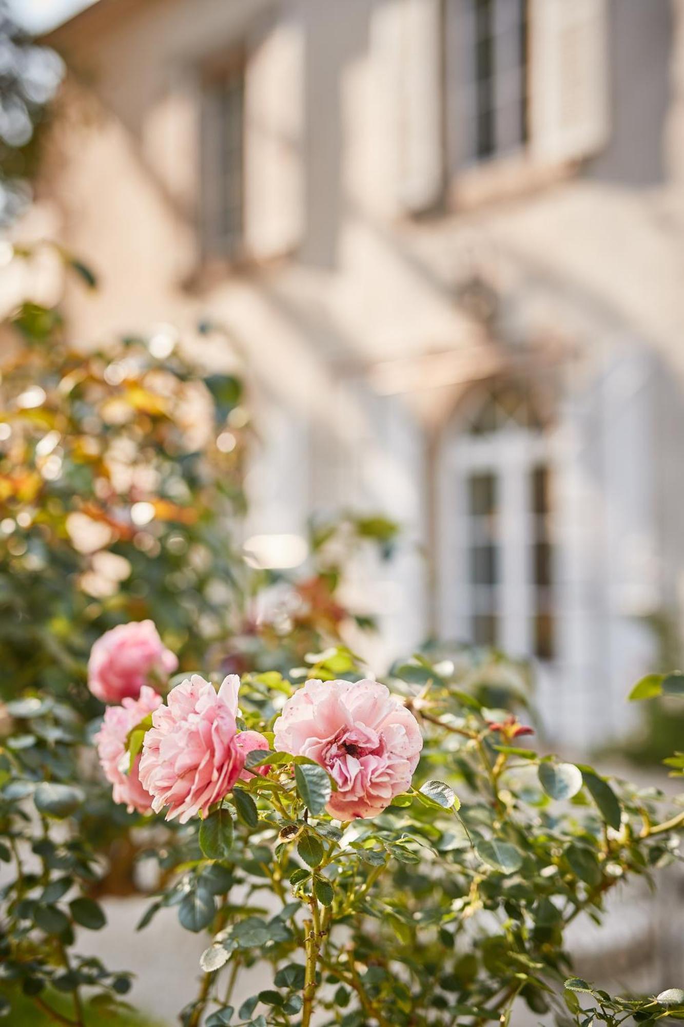 Beaussais Sur Mer La_Grande_Guerais Bed & Breakfast エクステリア 写真